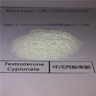 99% Purity Injectable Anabolic Steroids Hormone Testosterone Cypionate Steroids CAS 58-20-8