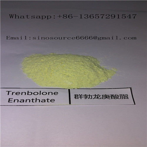 Muscle Growth Trenbolone Enanthate Yellow Crystalline Powder Bodybuilding Anabolic Steroids CAS 10161-33-8